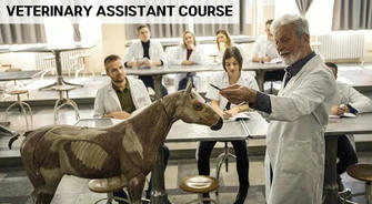 Kickstart Your Veterinary Career: Become a Veterinary Assistant Online and Make a Paw-sitive Impact